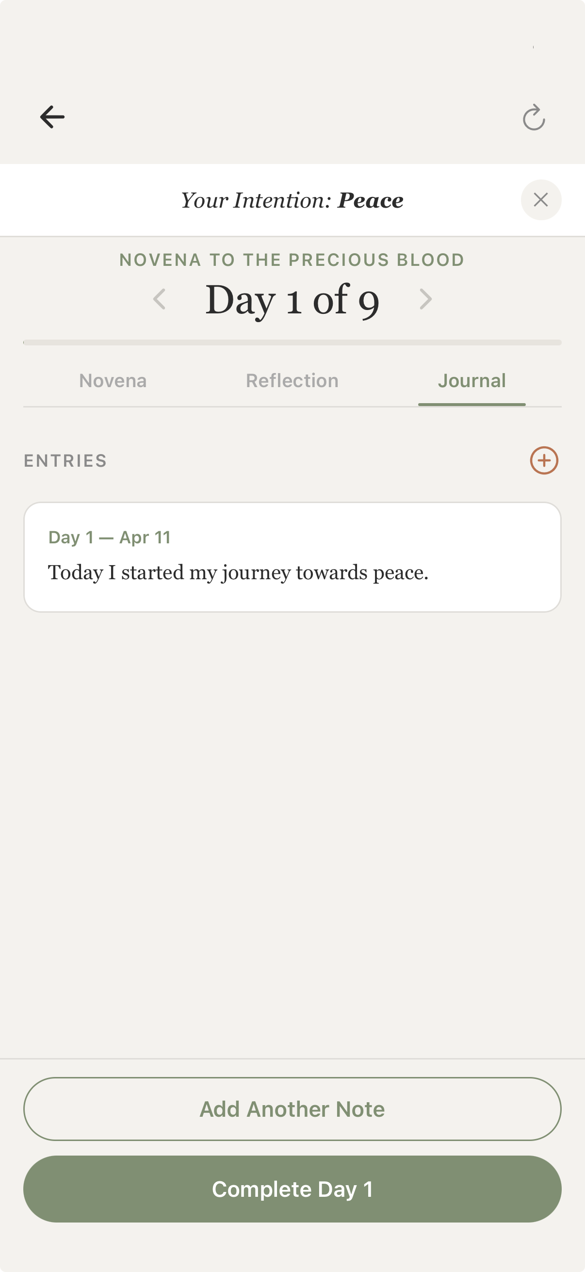 Journal screen