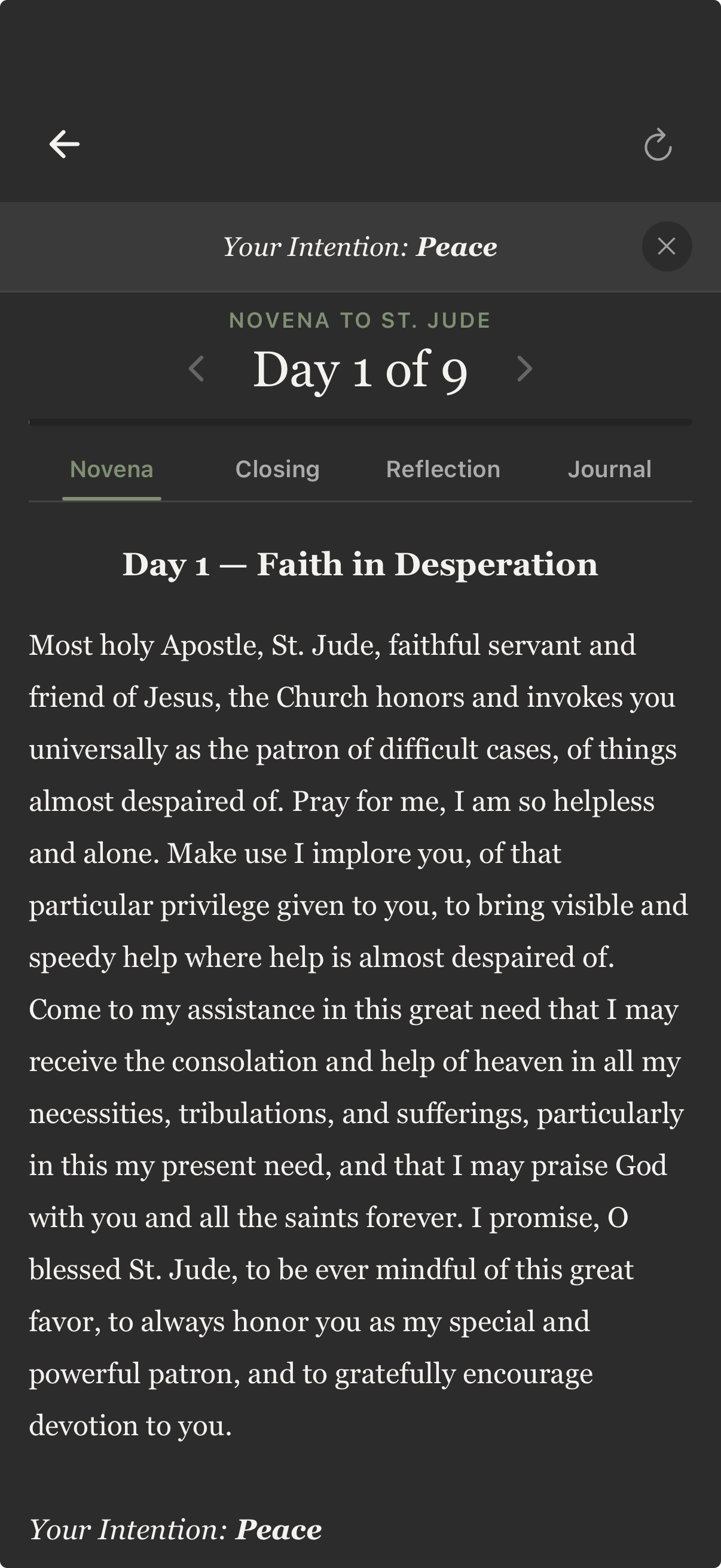 Novena prayer screen